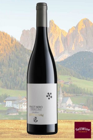 SellWine-Cantina Rotaliana Pinot Nero Trentino DOC 2017 