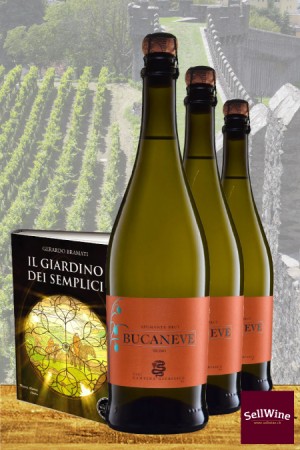 SellWine Libro: Il Giardino dei semplici - Vino: CAGI Spumante Brut Bucaneve Bianco di Merlot Ticino DOC 2017