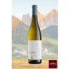 SellWine-Cantina Rotaliana Pinot Bianco Trentino DOC 2017