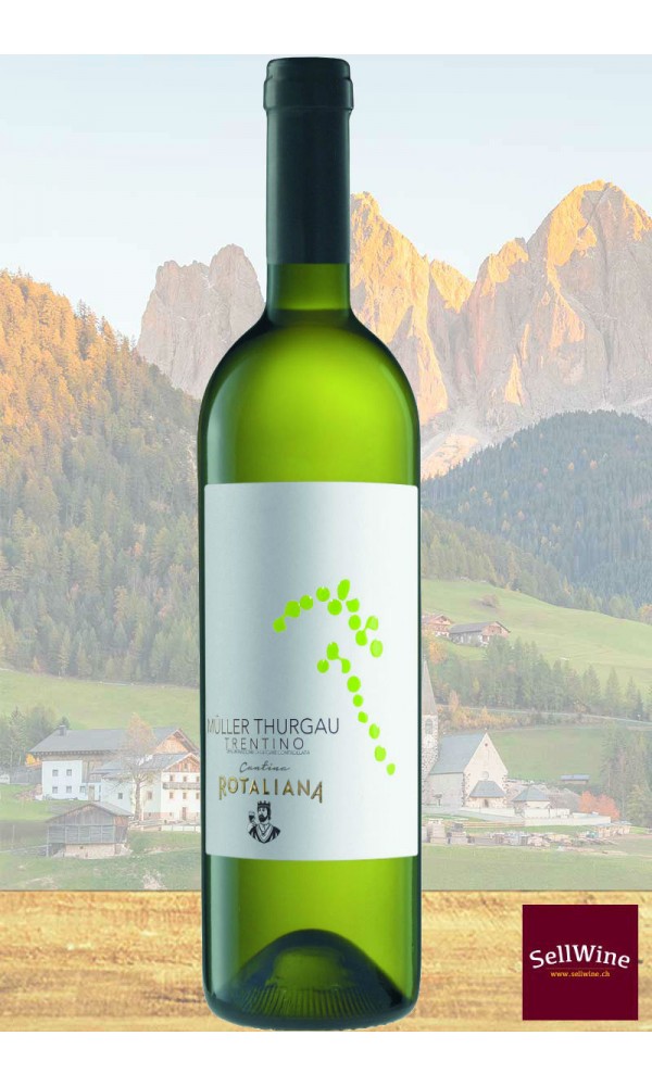 SellWine / Cantina Rotaliana Müller Thurgau Trentino DOC 2018