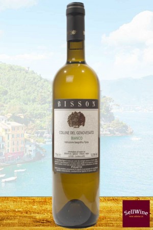 Bisson Pigato White Wine Colline del Genovesato IGT 2021