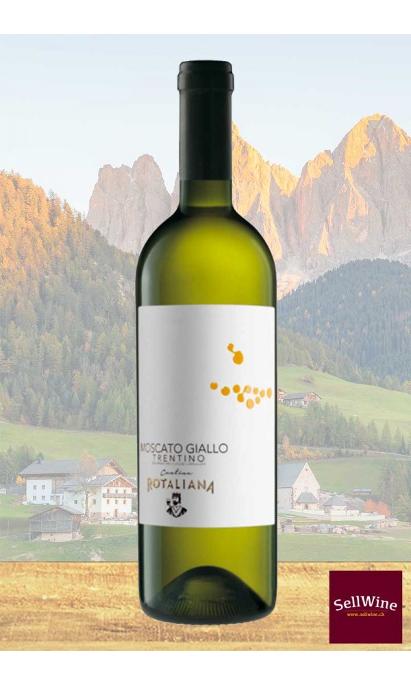 SellWine-Cantina Rotaliana Moscato Giallo Trentino DOC 2016 