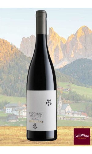 Cantina Rotaliana Pinot Nero Trentino DOC 2017