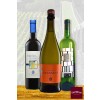 SellWine ti consiglia tre vini eccellenti della Cantina Giubiasco