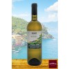 Vin blanc intense Ligurie Bisson Vini Marea Cinque Terre DOC 